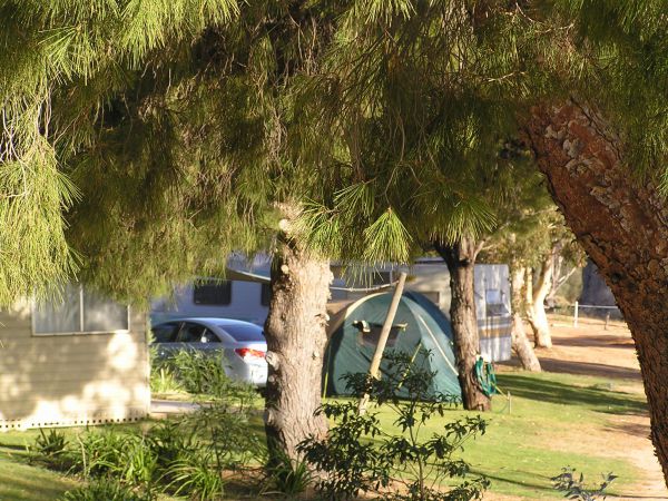 Barmera North Lake Caravan Park - Accommodation NSW