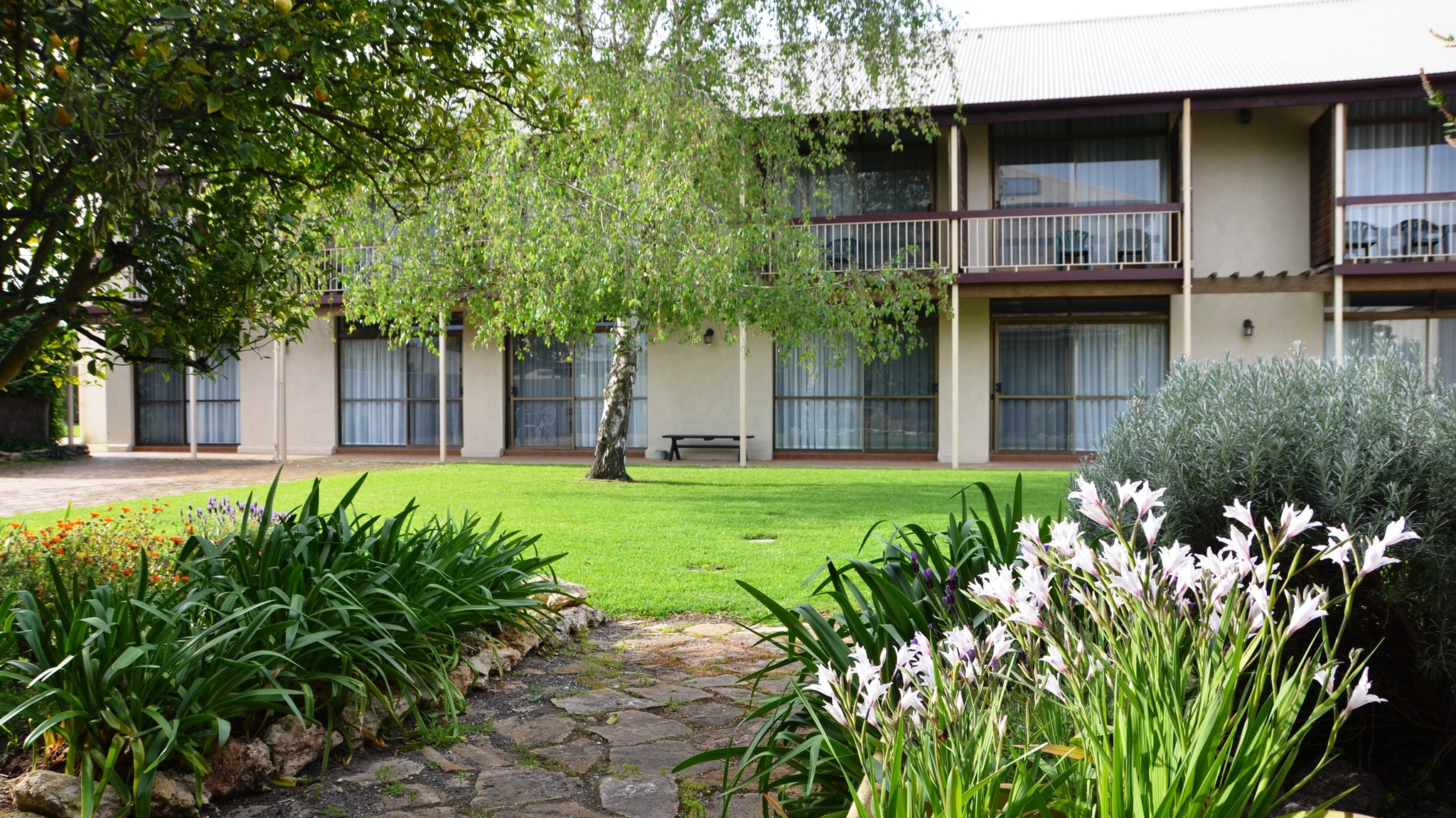Coonawarra Motor Lodge - New South Wales Tourism 