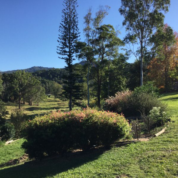 The Croft Bed and Breakfast - Accommodation NSW