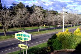 Avenue Motel - New South Wales Tourism 