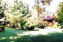 Boronia Holiday Lodge - Melbourne Tourism