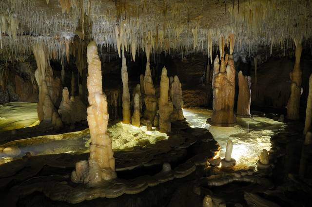 Buchan Caves Reserve - thumb 3