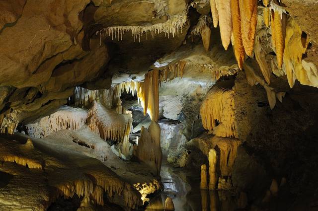 Buchan Caves Reserve - thumb 4