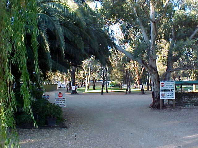 Kingston-On-Murray Caravan Park - New South Wales Tourism 