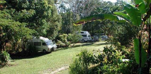Kuranda Rainforest Accommodation Park - Stayed