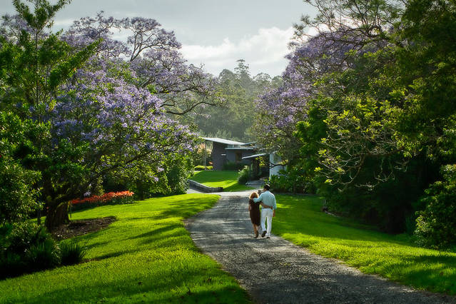Lily Pily Country House - Accommodation NSW