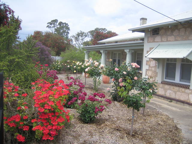 MacDonnell House Naracoorte Cottages - Hotel Accommodation