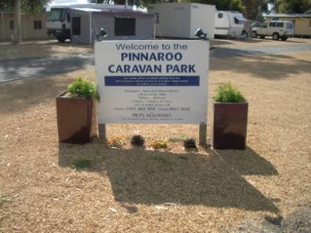 Pinnaroo Caravan Park - Accommodation Newcastle