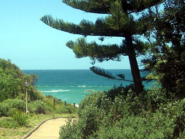 Seashells Beachfront Resort - Accommodation NSW