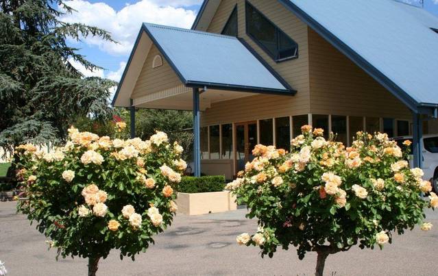 Willows Motel - Accommodation NSW