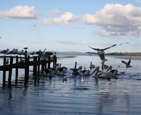 Pelicans At Denmark - Holiday Home - New South Wales Tourism 