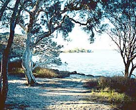 The Cove - VIC Tourism