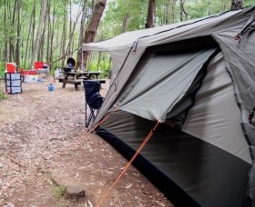 WA Wilderness Catered Camping at Big Brook Arboretum - New South Wales Tourism 